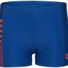 Nouveau ⌛ Arena Linear Serigraphy Swim Pro Shorts Boys, bleu ⌛ -Maillots de bain Soldes arena linear serigraphy swim pro shorts boys royal floreale 1