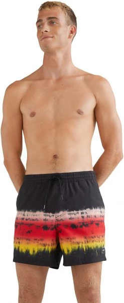 Vente flash ✨ O'Neill Horizon Shorts Men, bleu/Multicolore ⭐ -Maillots de bain Soldes oneill horizon shorts men black multi 3 1
