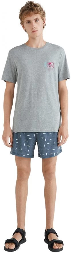Top 10 ❤️ O'Neill Mini Print Shorts Men, bleu ⌛ -Maillots de bain Soldes oneill mini print shorts men blue ao 5