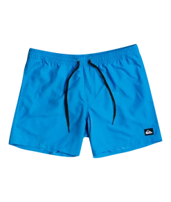 Acheter ✔️ Quiksilver Everyday 13" Volley Shorts Youth, turquoise ✨