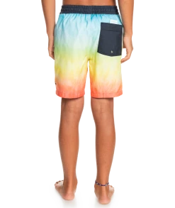 Remise 🥰 Quiksilver Everyday Faded Logo 15" Volley Shorts Youth, Multicolore 🔔 -Maillots de bain Soldes quiksilver everyday faded logo 15 volley shorts youth tarmac 4