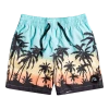 Remise ⭐ Quiksilver Everyday Paradise 14" Volley Shorts Youth, bleu/noir ⌛ -Maillots de bain Soldes quiksilver everyday paradise 14 volley shorts youth angel blue 1 1