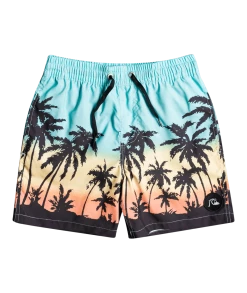 Tout neuf ⌛ Quiksilver Everyday Paradise 14" Volley Shorts Youth, Multicolore 🛒