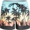 De gros 👏 Quiksilver Everyday Paradise 15 Volley Shorts Men, bleu 🛒 -Maillots de bain Soldes quiksilver everyday paradise 15 volley shorts men angel blue 1