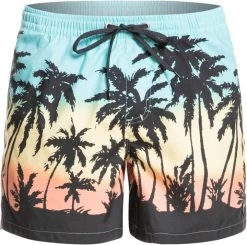 De gros 👏 Quiksilver Everyday Paradise 15 Volley Shorts Men, bleu 🛒