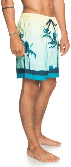 Acheter 🔥 Quiksilver Paradise Volley 17 Shorts Men, Multicolore 🌟 -Maillots de bain Soldes quiksilver paradise volley 17 shorts men charlock 3