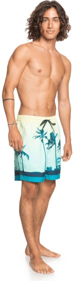 Acheter 🔥 Quiksilver Paradise Volley 17 Shorts Men, Multicolore 🌟 -Maillots de bain Soldes quiksilver paradise volley 17 shorts men charlock 4