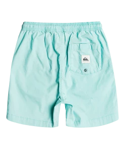 Acheter ❤️ Quiksilver Taxer Watershorts Youth, gris ❤️ -Maillots de bain Soldes quiksilver taxer watershorts youth angel blue 3 2