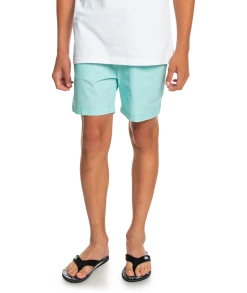 Acheter ❤️ Quiksilver Taxer Watershorts Youth, gris ❤️ -Maillots de bain Soldes quiksilver taxer watershorts youth angel blue 4 2