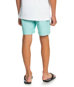 Acheter ❤️ Quiksilver Taxer Watershorts Youth, gris ❤️ -Maillots de bain Soldes quiksilver taxer watershorts youth angel blue 5 2